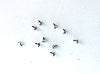 PN Racing M1.2 Screw for PN V3 Brushless Motor (10pcs) Part#: 183002